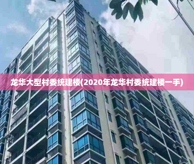 龙华大型村委统建楼(2020年龙华村委统建楼一手)