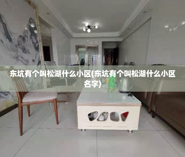 东坑有个叫松湖什么小区(东坑有个叫松湖什么小区名字)
