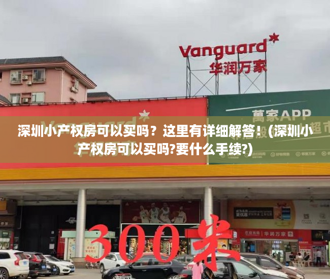 深圳小产权房可以买吗？这里有详细解答！(深圳小产权房可以买吗?要什么手续?)