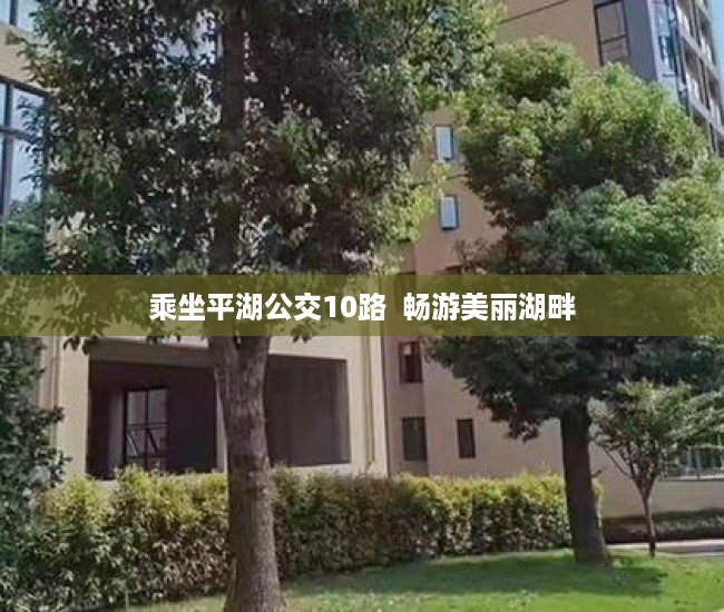 乘坐平湖公交10路  畅游美丽湖畔