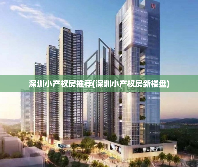 深圳小产权房推荐(深圳小产权房新楼盘)