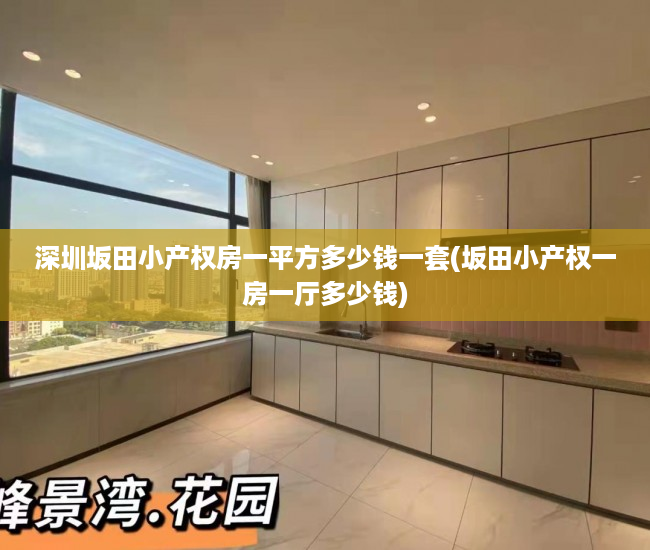 深圳坂田小产权房一平方多少钱一套(坂田小产权一房一厅多少钱) 深圳坂田小产权房一平方多少钱一套(坂田小产权一房一厅多少钱)