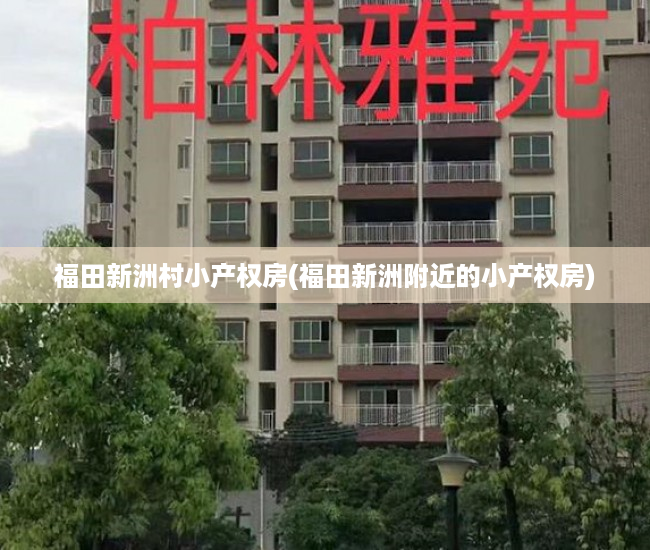 福田新洲村小产权房(福田新洲附近的小产权房) 福田新洲村小产权房(福田新洲附近的小产权房)