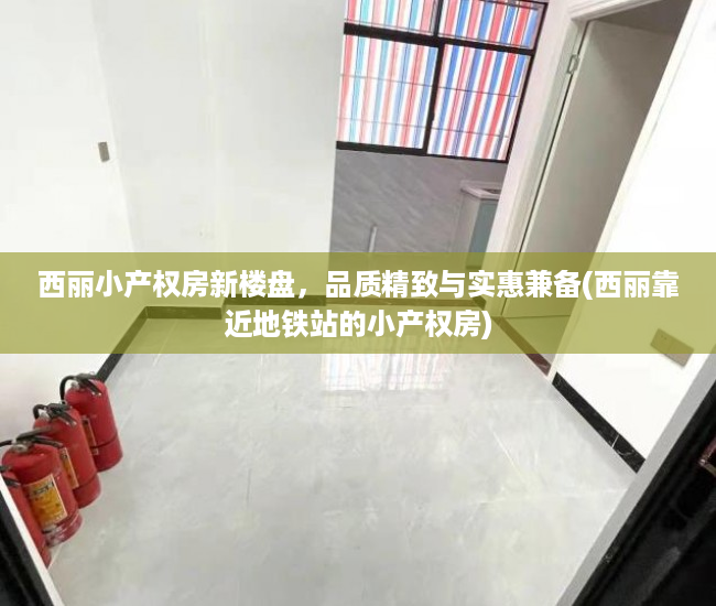 西丽小产权房新楼盘，品质精致与实惠兼备(西丽靠近地铁站的小产权房)