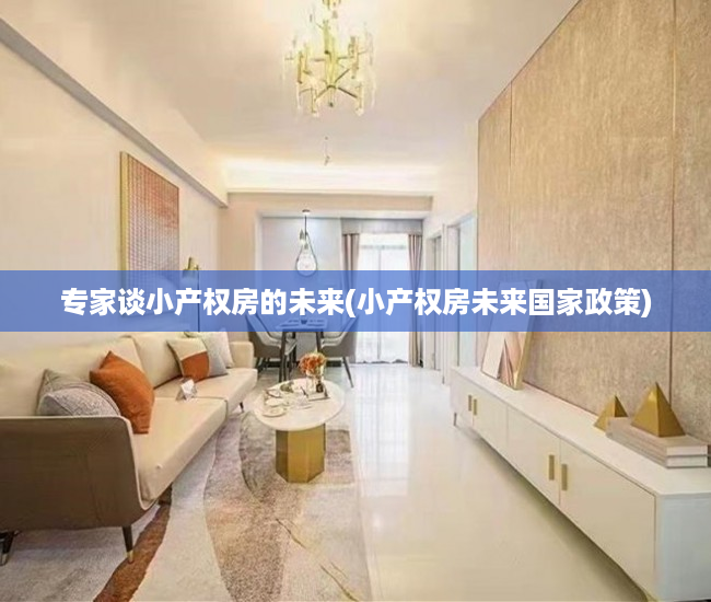 专家谈小产权房的未来(小产权房未来国家政策)