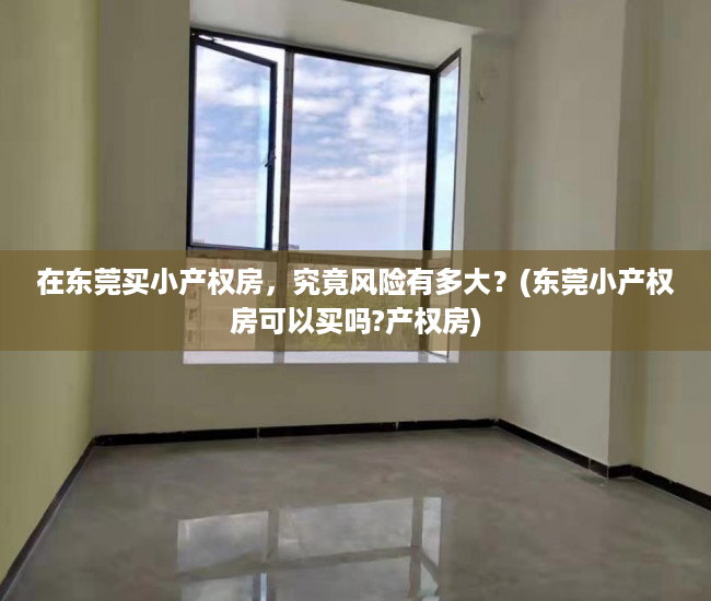 在东莞买小产权房，究竟风险有多大？(东莞小产权房可以买吗?产权房)