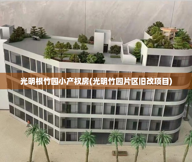 光明根竹园小产权房(光明竹园片区旧改项目) 光明根竹园小产权房(光明竹园片区旧改项目)