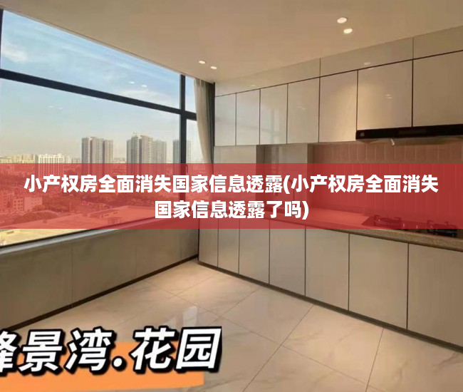 小产权房全面消失国家信息透露(小产权房全面消失国家信息透露了吗)
