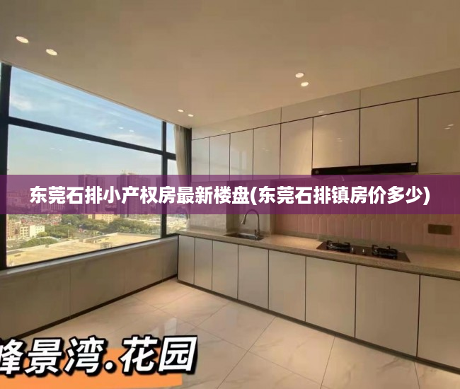 东莞石排小产权房最新楼盘(东莞石排镇房价多少) 东莞石排小产权房最新楼盘(东莞石排镇房价多少)
