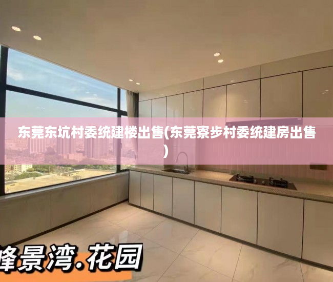 东莞东坑村委统建楼出售(东莞寮步村委统建房出售) 东莞东坑村委统建楼出售(东莞寮步村委统建房出售)