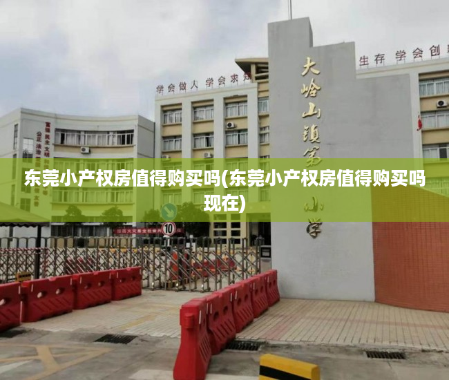 东莞小产权房值得购买吗(东莞小产权房值得购买吗现在) 东莞小产权房值得购买吗(东莞小产权房值得购买吗现在)