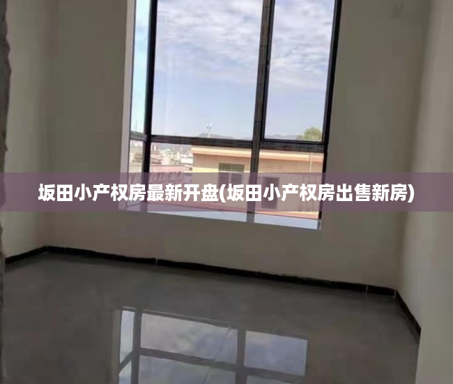 坂田小产权房最新开盘(坂田小产权房出售新房) 坂田小产权房最新开盘(坂田小产权房出售新房)