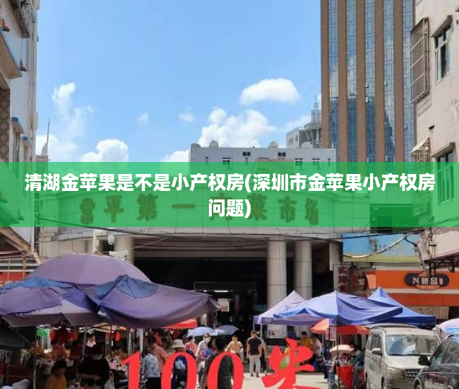 清湖金苹果是不是小产权房(深圳市金苹果小产权房问题) 清湖金苹果是不是小产权房(深圳市金苹果小产权房问题)