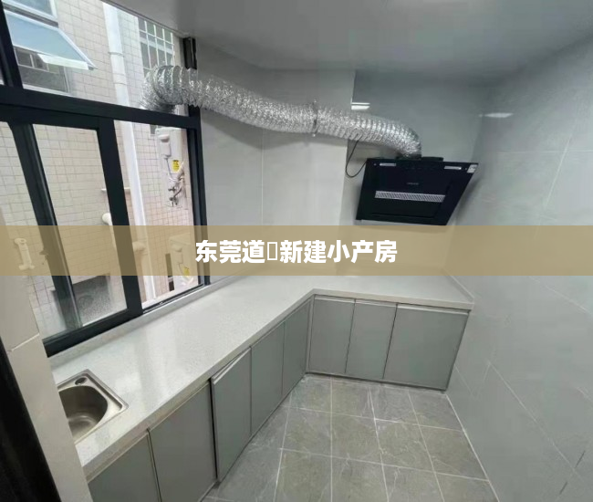 东莞道滘新建小产房 东莞道滘新建小产房
