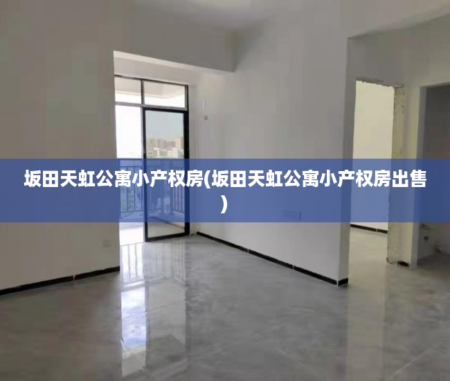 坂田天虹公寓小产权房(坂田天虹公寓小产权房出售) 坂田天虹公寓小产权房(坂田天虹公寓小产权房出售)