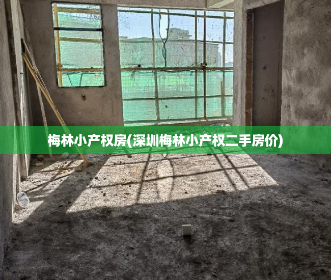 梅林小产权房(深圳梅林小产权二手房价) 梅林小产权房(深圳梅林小产权二手房价)