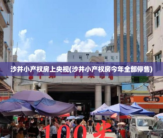 沙井小产权房上央视(沙井小产权房今年全部停售) 沙井小产权房上央视(沙井小产权房今年全部停售)