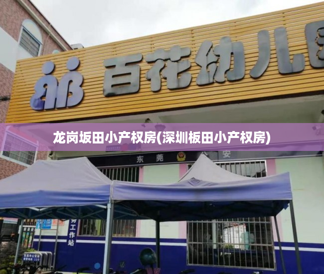 龙岗坂田小产权房(深圳板田小产权房) 龙岗坂田小产权房(深圳板田小产权房)
