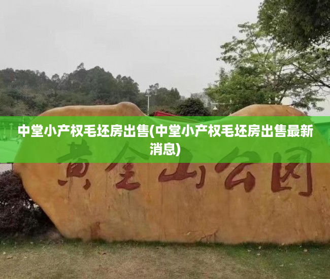 中堂小产权毛坯房出售(中堂小产权毛坯房出售最新消息) 中堂小产权毛坯房出售(中堂小产权毛坯房出售最新消息)