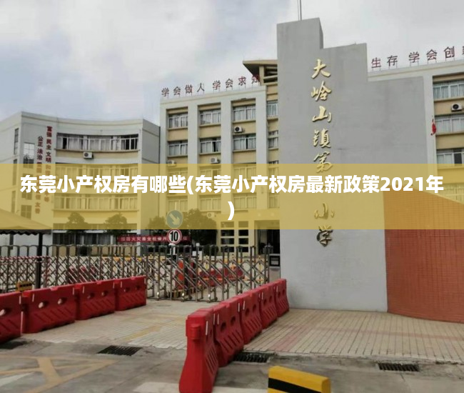 东莞小产权房有哪些(东莞小产权房最新政策2021年) 东莞小产权房有哪些(东莞小产权房最新政策2021年)