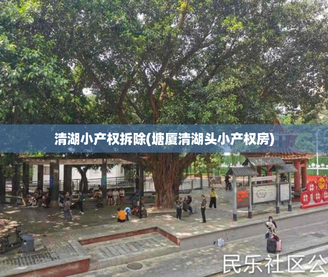 清湖小产权拆除(塘厦清湖头小产权房) 清湖小产权拆除(塘厦清湖头小产权房)