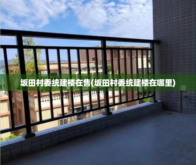 坂田村委统建楼在售(坂田村委统建楼在哪里) 坂田村委统建楼在售(坂田村委统建楼在哪里)