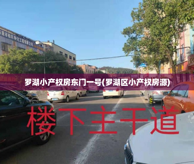 罗湖小产权房东门一号(罗湖区小产权房源) 罗湖小产权房东门一号(罗湖区小产权房源)