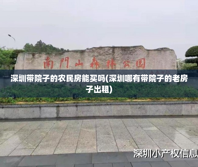 深圳带院子的农民房能买吗(深圳哪有带院子的老房子出租)