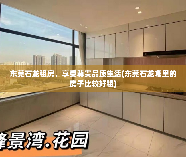 东莞石龙租房，享受尊贵品质生活(东莞石龙哪里的房子比较好租)