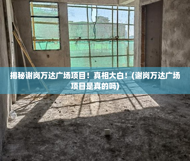 揭秘谢岗万达广场项目！真相大白！(谢岗万达广场项目是真的吗)