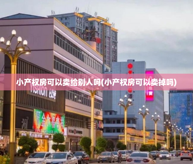 小产权房可以卖给别人吗(小产权房可以卖掉吗) 小产权房可以卖给别人吗(小产权房可以卖掉吗)
