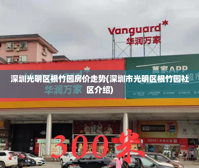 深圳光明区根竹园房价走势(深圳市光明区根竹园社区介绍)