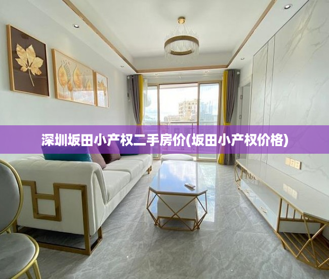 深圳坂田小产权二手房价(坂田小产权价格) 深圳坂田小产权二手房价(坂田小产权价格)