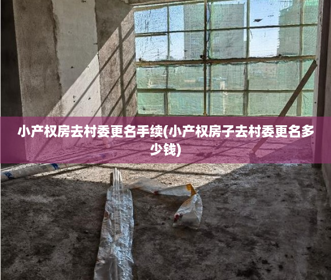 小产权房去村委更名手续(小产权房子去村委更名多少钱)