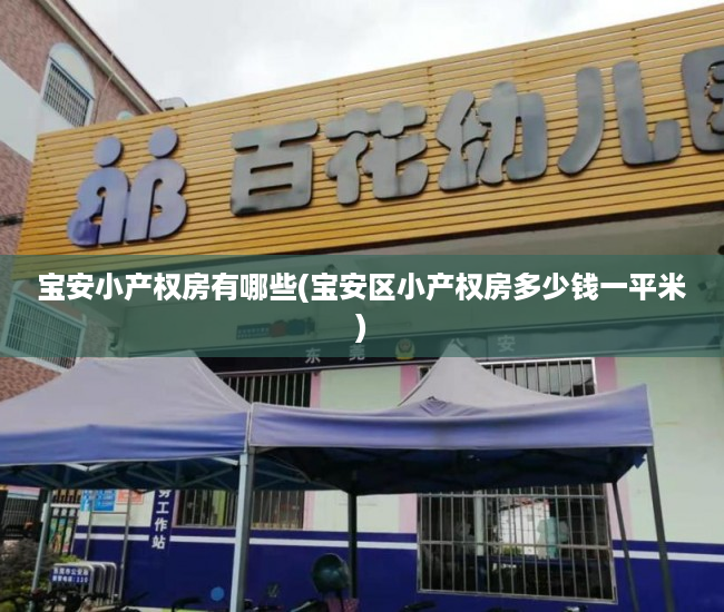 宝安小产权房有哪些(宝安区小产权房多少钱一平米)