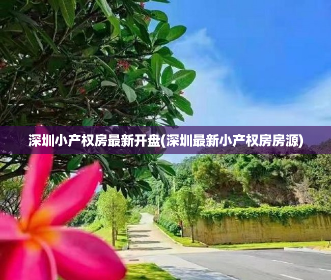 深圳小产权房最新开盘(深圳最新小产权房房源) 深圳小产权房最新开盘(深圳最新小产权房房源)
