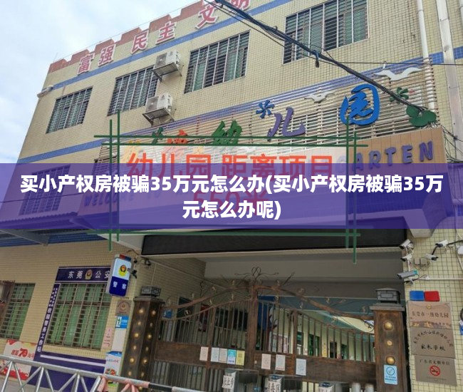 买小产权房被骗35万元怎么办(买小产权房被骗35万元怎么办呢)