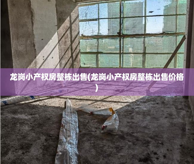 龙岗小产权房整栋出售(龙岗小产权房整栋出售价格)