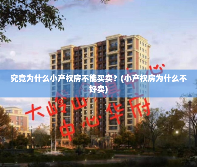 究竟为什么小产权房不能买卖？(小产权房为什么不好卖)
