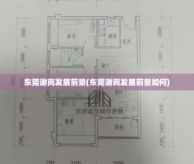 东莞谢岗发展前景(东莞谢岗发展前景如何) 东莞谢岗发展前景(东莞谢岗发展前景如何)