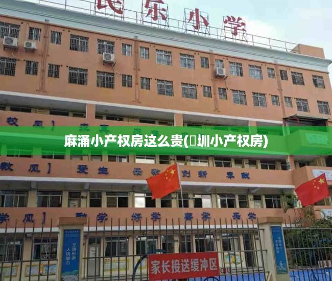 麻涌小产权房这么贵(堔圳小产权房) 麻涌小产权房这么贵(堔圳小产权房)