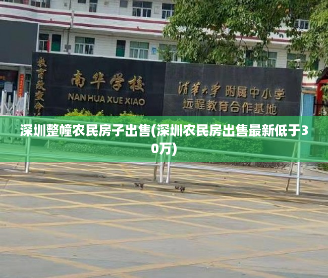 深圳整幢农民房子出售(深圳农民房出售最新低于30万)
