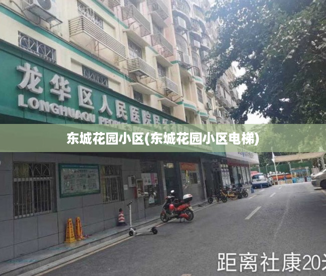 东城花园小区(东城花园小区电梯) 东城花园小区(东城花园小区电梯)