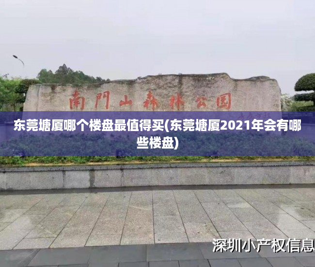 东莞塘厦哪个楼盘最值得买(东莞塘厦2021年会有哪些楼盘) 东莞塘厦哪个楼盘最值得买(东莞塘厦2021年会有哪些楼盘)