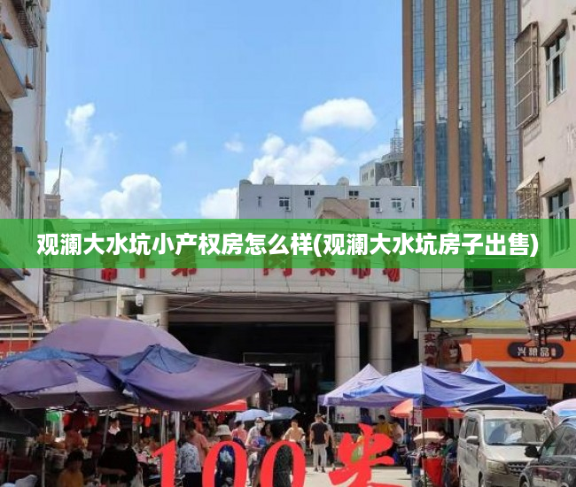 观澜大水坑小产权房怎么样(观澜大水坑房子出售)
