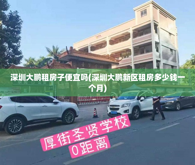 深圳大鹏租房子便宜吗(深圳大鹏新区租房多少钱一个月)