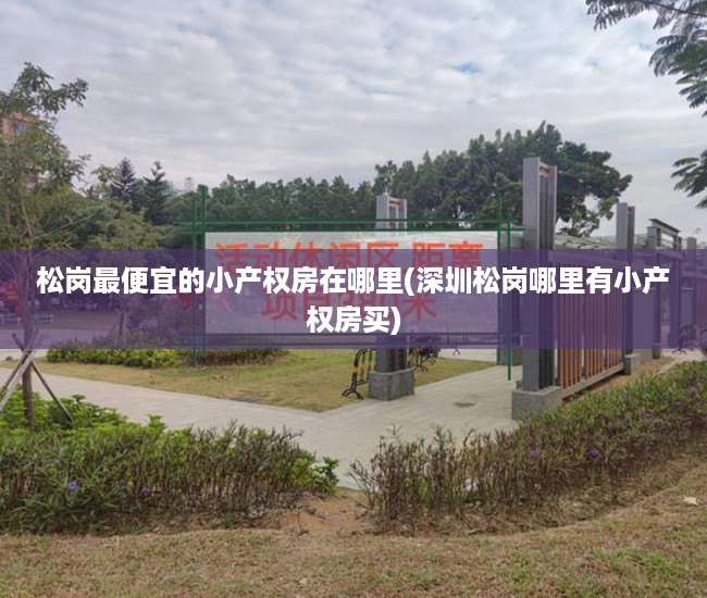 松岗最便宜的小产权房在哪里(深圳松岗哪里有小产权房买)