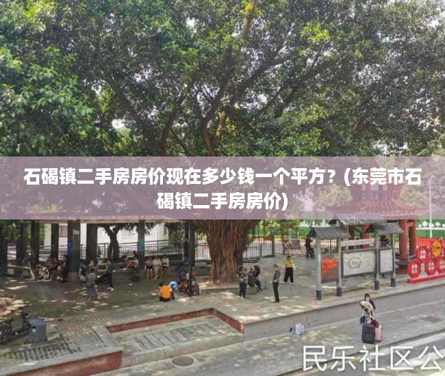 石碣镇二手房房价现在多少钱一个平方？(东莞市石碣镇二手房房价)