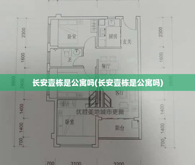 长安壹栋是公寓吗(长安壹栋是公寓吗)