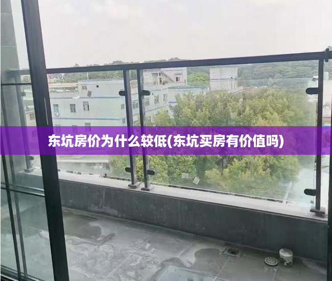 东坑房价为什么较低(东坑买房有价值吗)